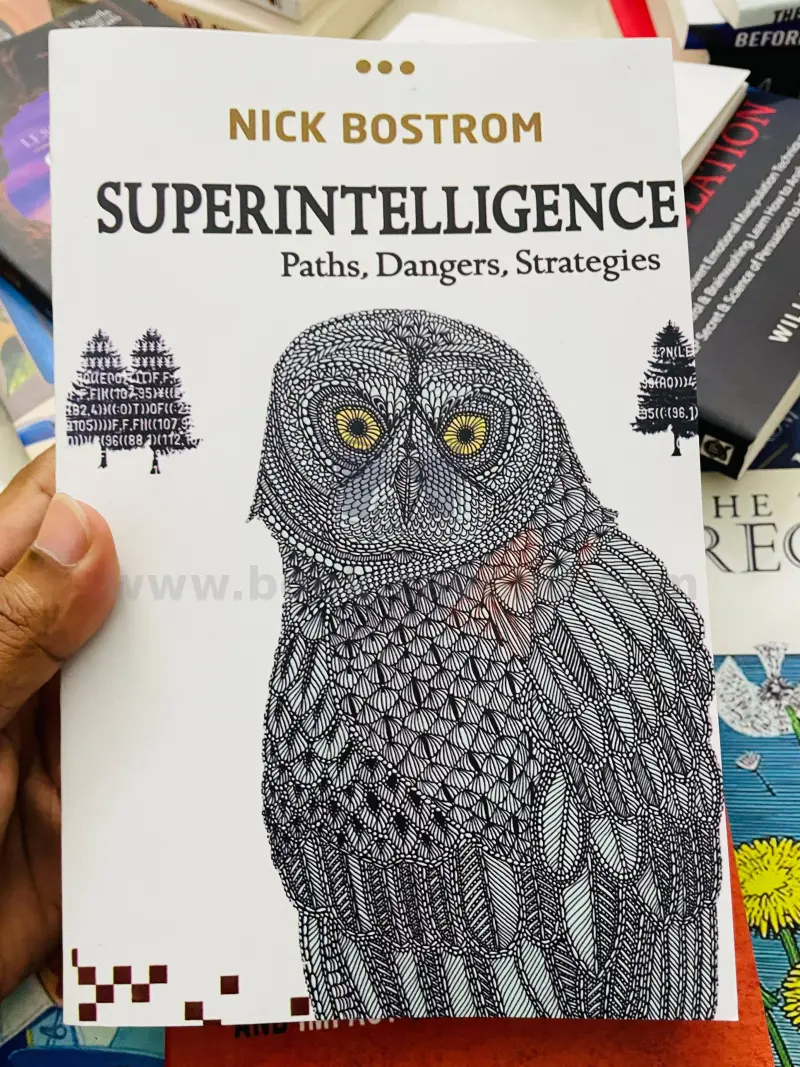 Superintelligence: Paths, Dangers, Strategies