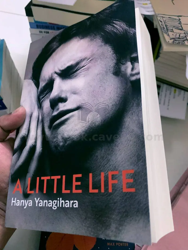 A Little Life
