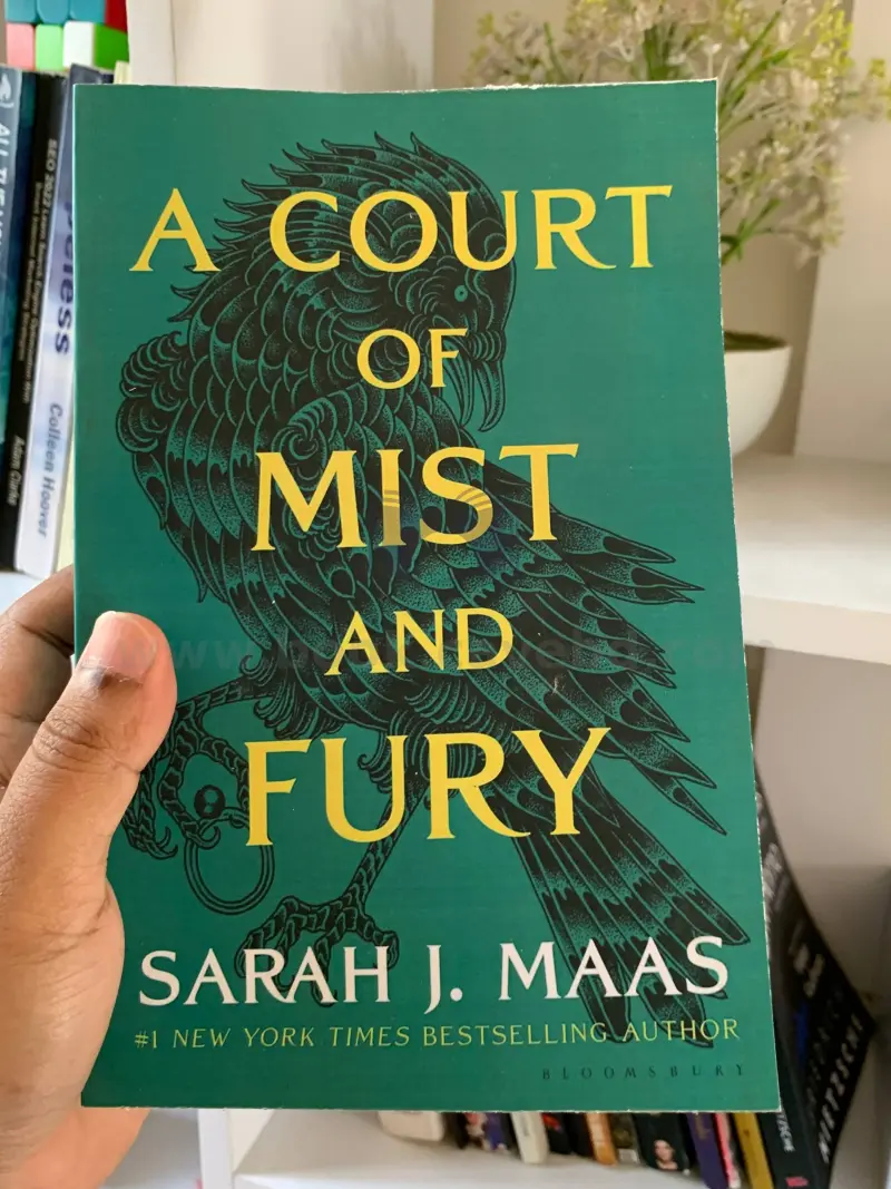 A Court of Mist and Fury (Court of Thorns and Roses, Book 2)