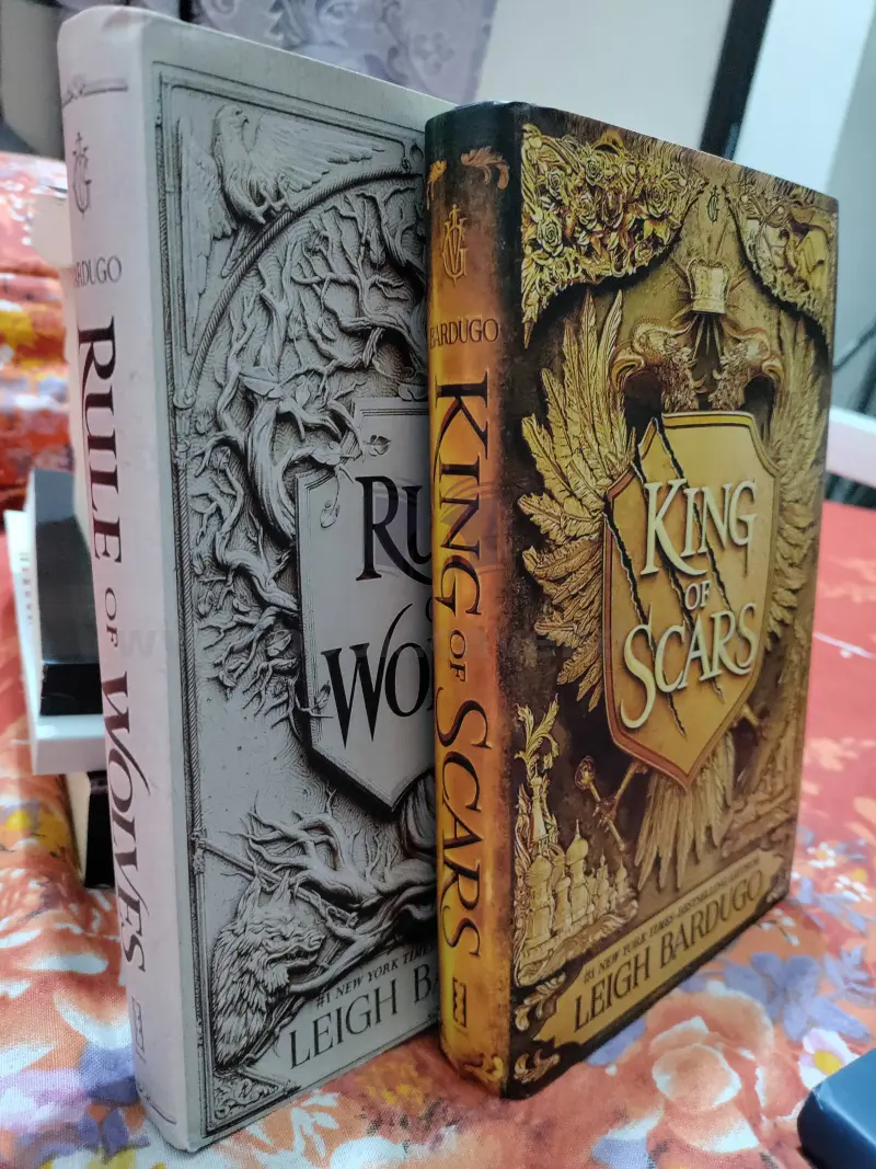 King of Scars Duology (2 book series)