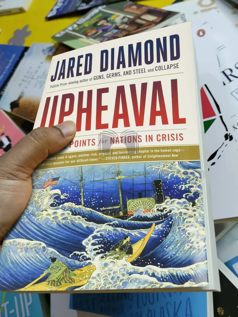 Upheaval: Turning Points for Nations in Crisis