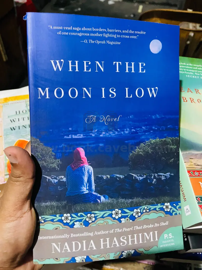 When the Moon Is Low: A Novel