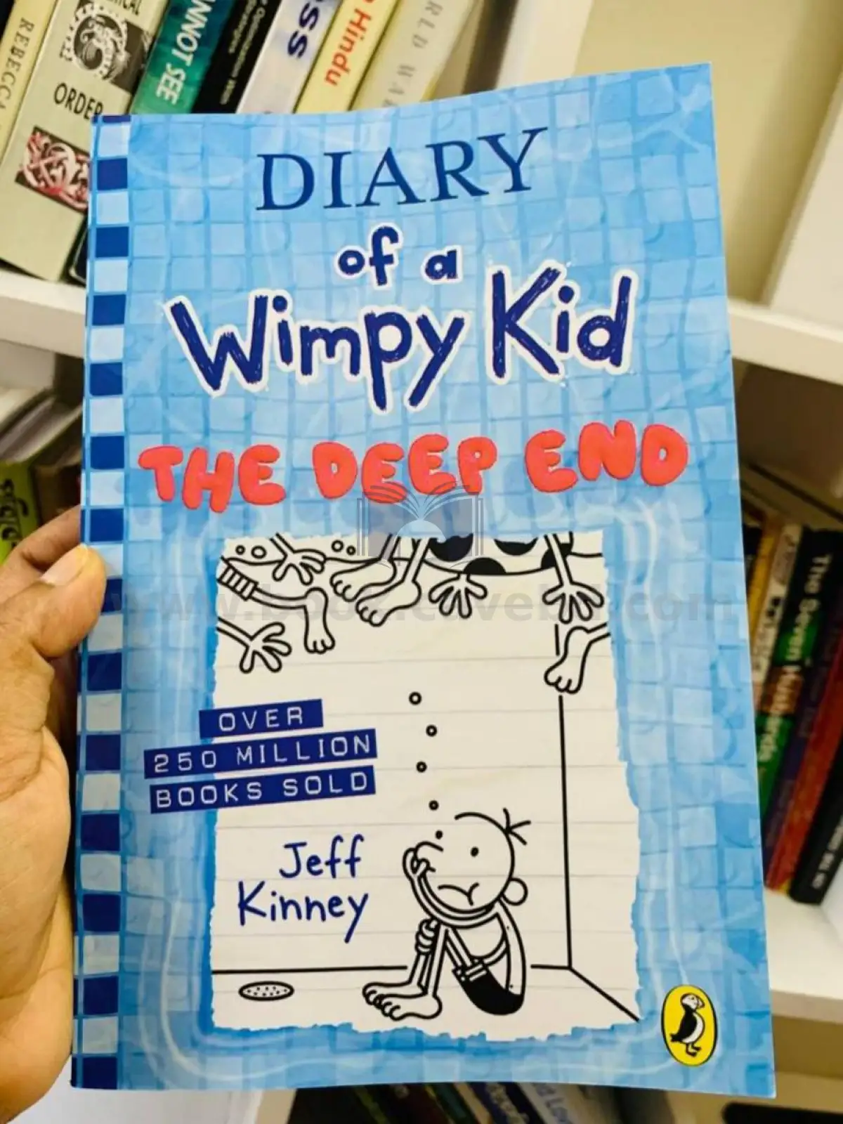 The Deep End (Diary of a Wimpy Kid, Book 15)