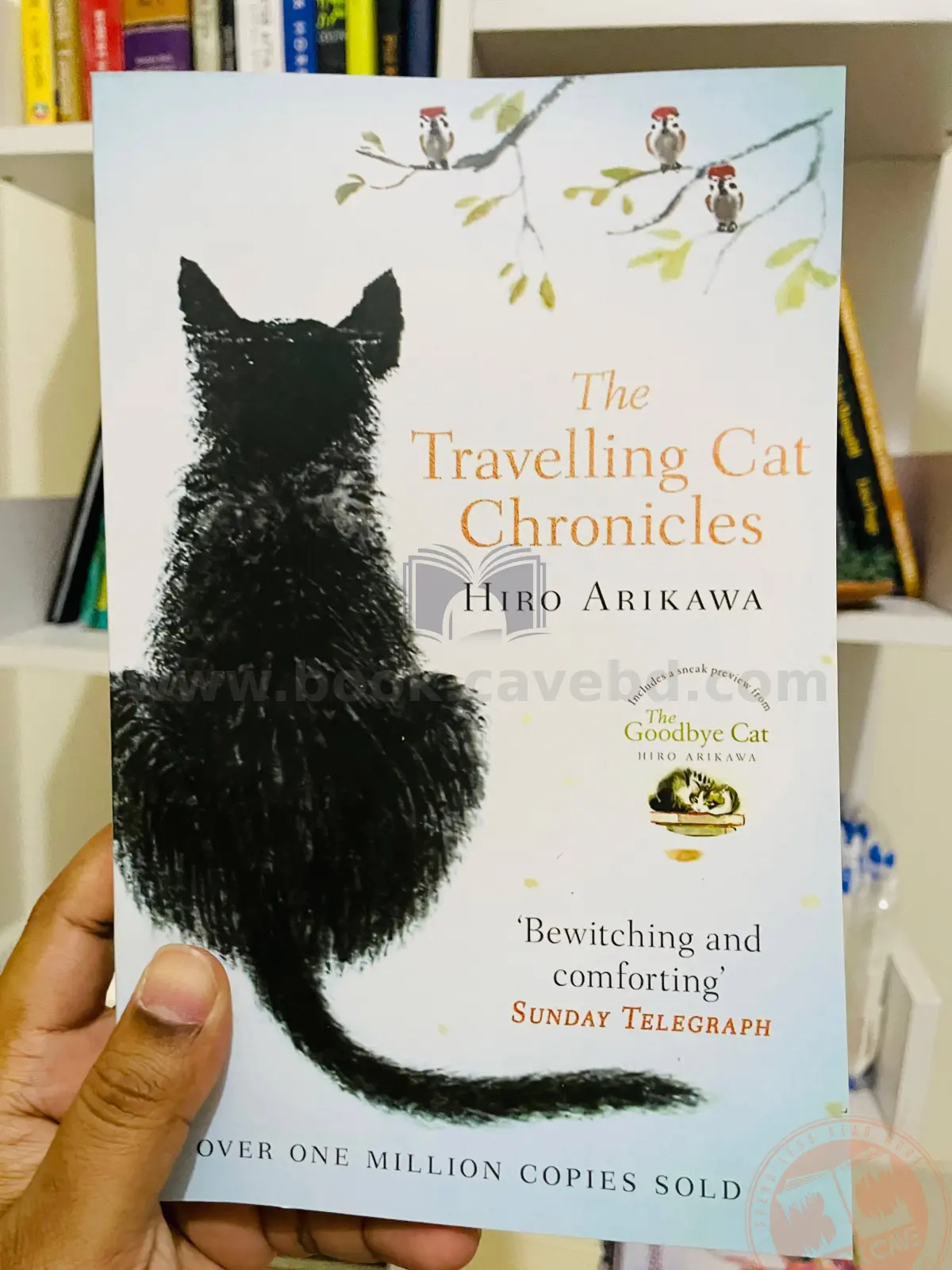 The Travelling Cat Chronicles